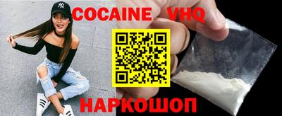 сатива Кингисепп