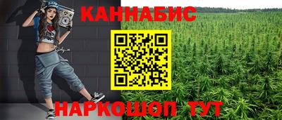 сатива Кингисепп