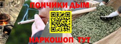 сатива Кингисепп