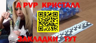 сатива Кингисепп