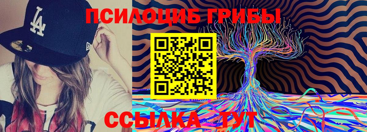 Галлюциногенные грибы Psilocybe  Вход с VPN  Зерноград 