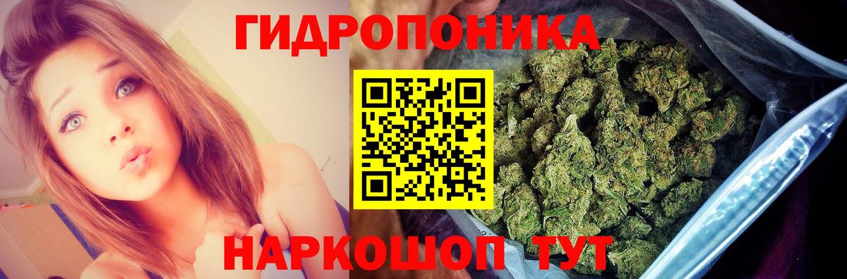 Марихуана планчик  Вход с VPN  Конопля индика  Конопля марихуана  Зерноград 
